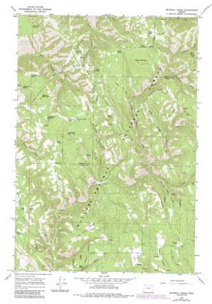 Drumhill Ridge USGS topographic map 45118d2