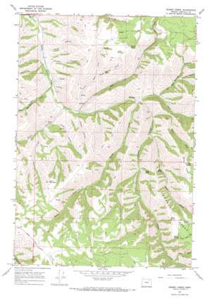 Bassey Creek USGS topographic map 45118d5