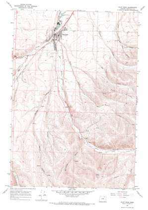 Pilot Rock USGS topographic map 45118d7