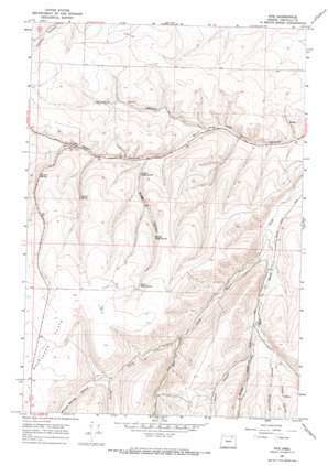 Nye USGS topographic map 45118d8