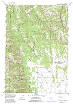 Sanderson Spring USGS topographic map 45118e1