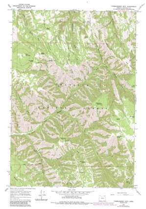 Thimbleberry Mountain USGS topographic map 45118e2