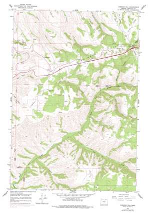 Cabbage Hill USGS topographic map 45118e5