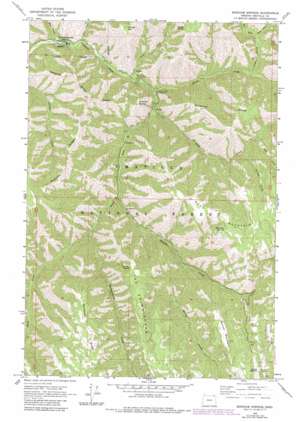 Bingham Springs USGS topographic map 45118f2