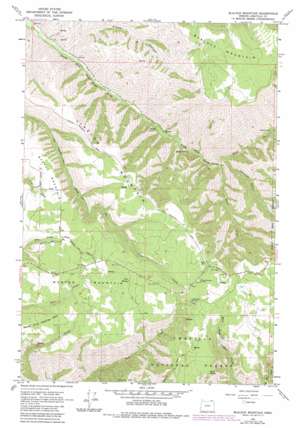 Blalock Mountain USGS topographic map 45118g2