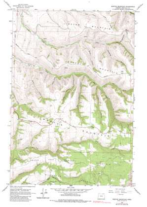 Weston Mountain topo map