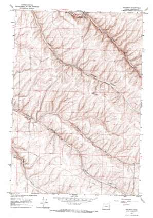Holdman USGS topographic map 45118g8