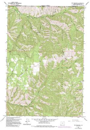 Big Meadows USGS topographic map 45118h1
