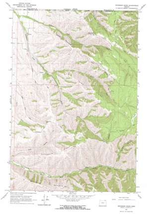Peterson Ridge topo map