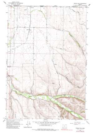 Bowlus Hill USGS topographic map 45118h3