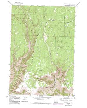 Thompson Flat topo map