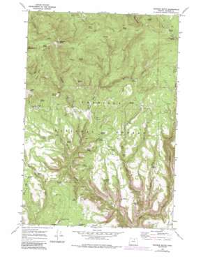 Madison Butte topo map