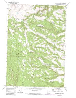 Sugarbowl Creek USGS topographic map 45119b1