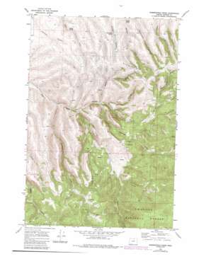 Summerfield Ridge topo map