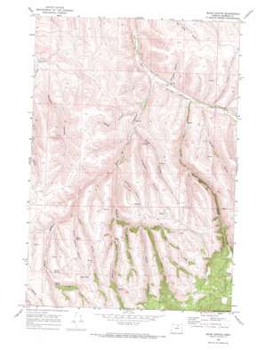 Balm Canyon USGS topographic map 45119b5