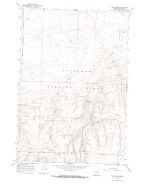 Well Spring topo map