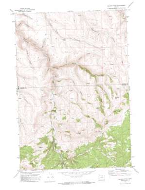 The Dalles USGS topographic map 45120a1