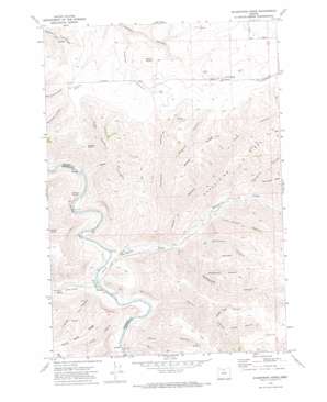 Shoestring Ridge USGS topographic map 45120b4