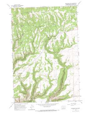Bickleton NW USGS topographic map 45120h4