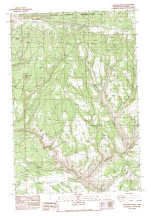 Lone Pine Butte topo map