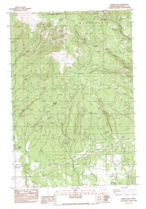 Indian Rock USGS topographic map 45120h7