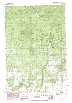 White Pine Buttes topo map