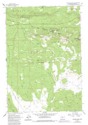 Foreman Point topo map