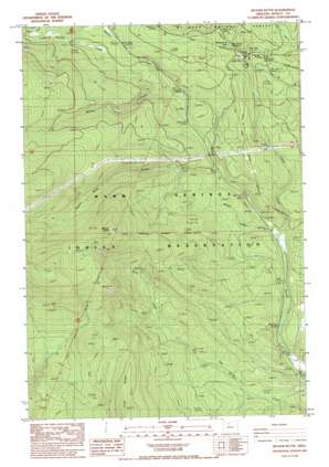 Beaver Butte topo map