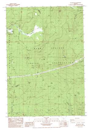Mount Wilson USGS topographic map 45121a6