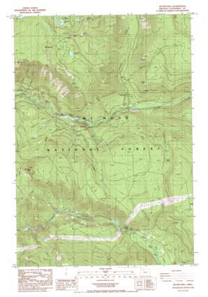 Mount Mitchell USGS topographic map 45121a8