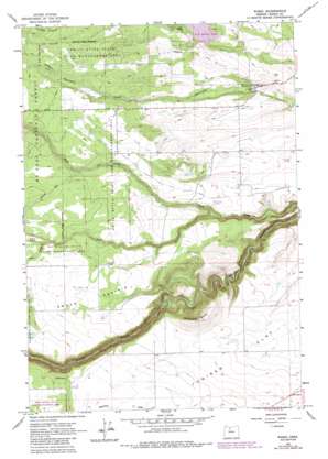Wamic USGS topographic map 45121b3