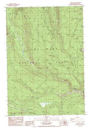 Post Point topo map