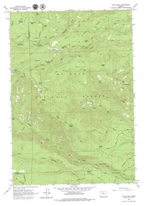 Flag Point USGS topographic map 45121c4
