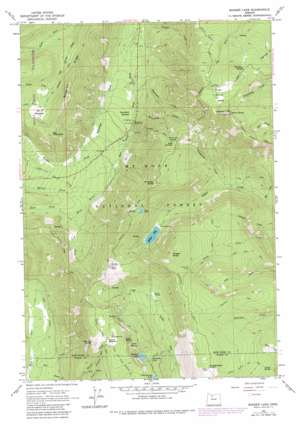 Badger Lake USGS topographic map 45121c5