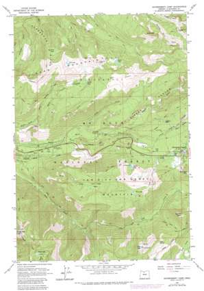 Government Camp topo map