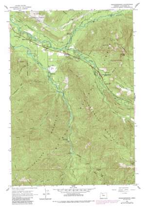Government Camp USGS topographic map 45121c8