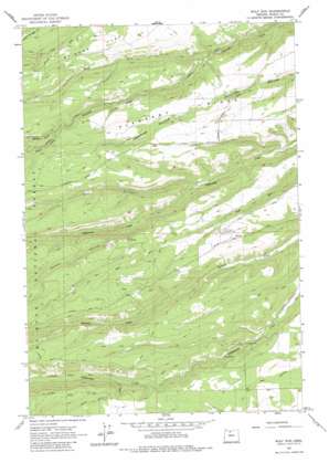 Wolf Run USGS topographic map 45121d3