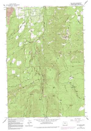 Dog River USGS topographic map 45121d5