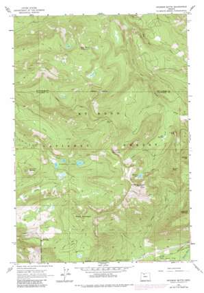 Hickman Butte topo map