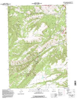 Brown Creek USGS topographic map 45121e3