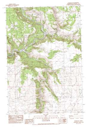 Wahkiacus USGS topographic map 45121g1