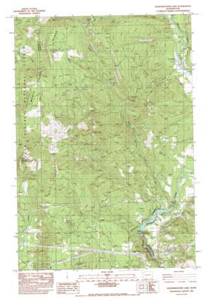 Northwestern Lake USGS topographic map 45121g5