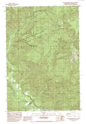 Big Huckleberry Mountain USGS topographic map 45121g7