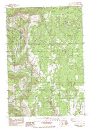 Grayback Mountain USGS topographic map 45121h1