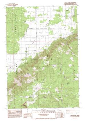 Camas Prairie USGS topographic map 45121h3