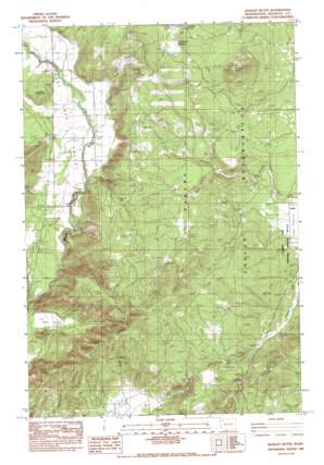 Quigley Butte topo map