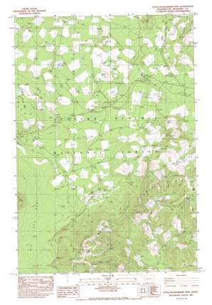 Little Huckleberry Mountain USGS topographic map 45121h6