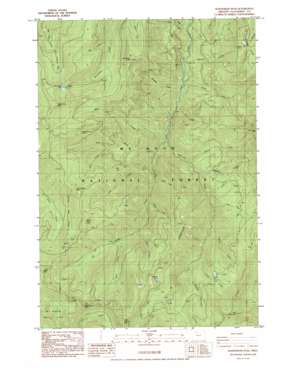 Wanderers Peak USGS topographic map 45122a2