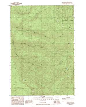 Soosap Peak USGS topographic map 45122a3