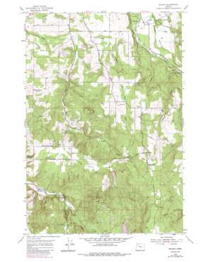 Wilhoit USGS topographic map 45122a5